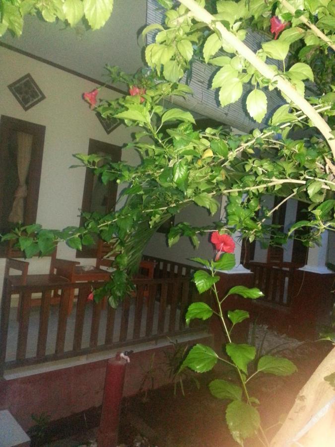 Family Bungalow Gili Meno Εξωτερικό φωτογραφία